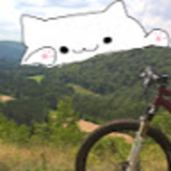 laurieleblan200